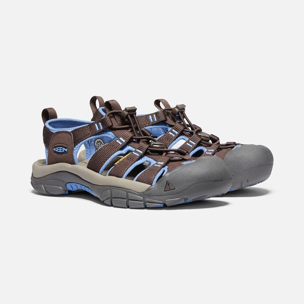 Sandales de Randonnée Keen Femme Marron/Bleu | Newport H2 | CZWSM-7459